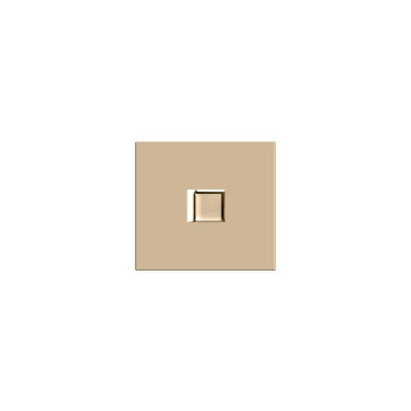 Hạt ổ cắm mạng CAT5, cỡ trung (1/2)