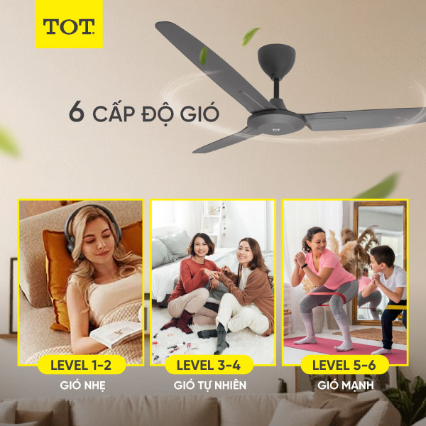Quạt Trần TOT TQ6-30: Giải Mã 6 Cấp Độ Gió Nâng Tầm Chất Lượng Cuộc Sống
